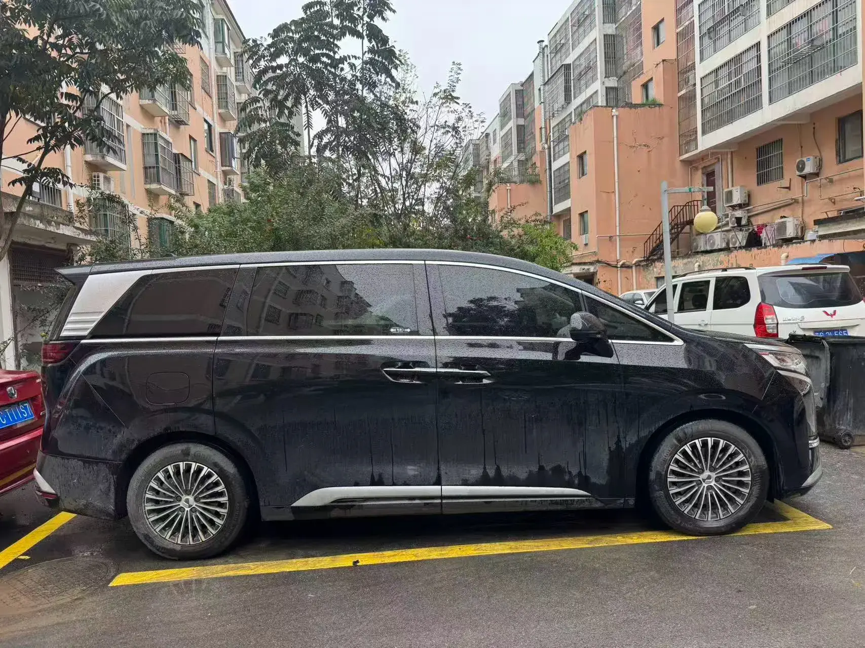 2024 DENZA D9 thumbnail 4