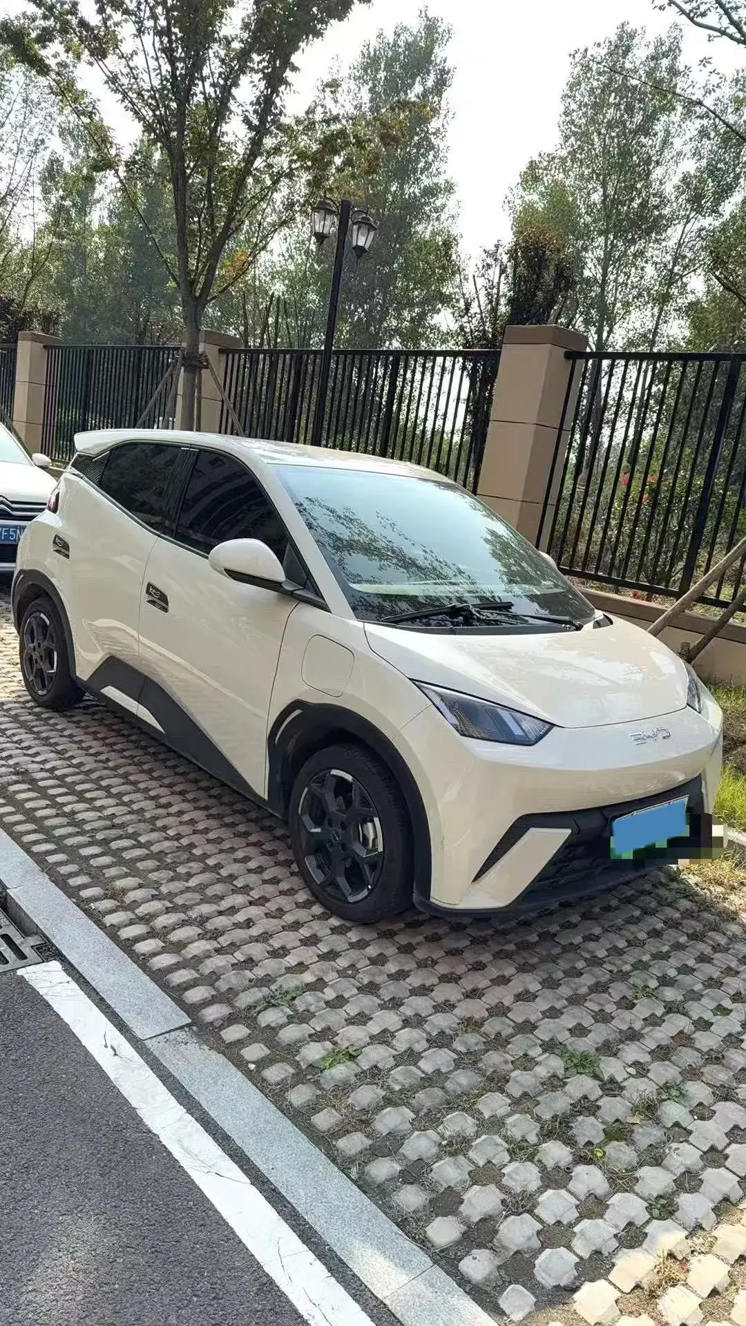 2025 BYD SEAGULL thumbnail 2