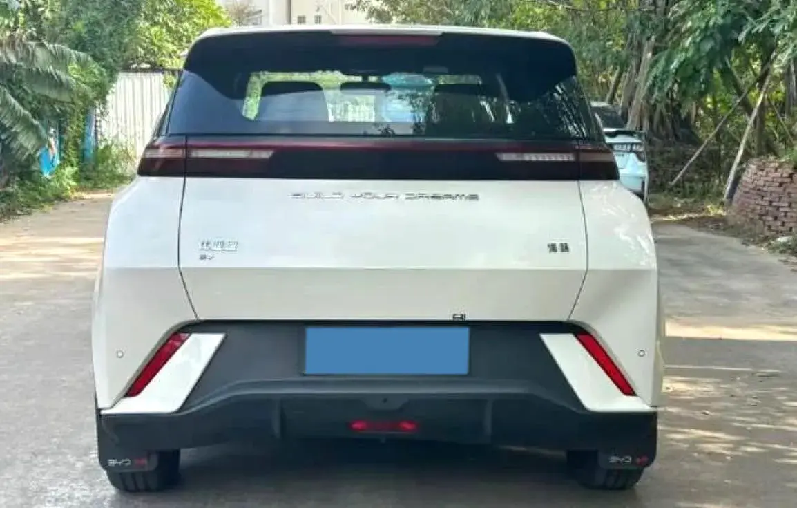 2024 BYD SEAGULL thumbnail 2