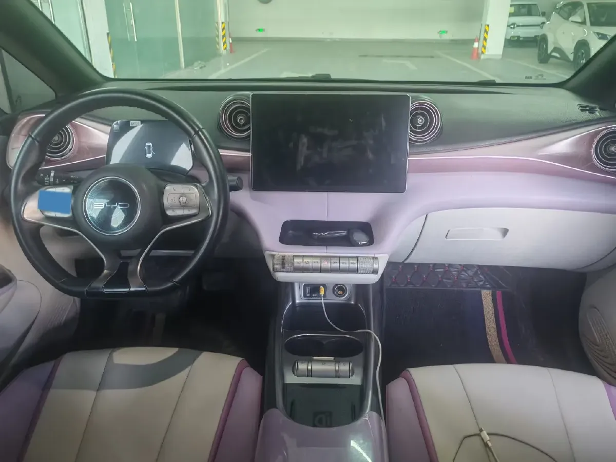 2021 BYD Dolphin BEV 44.9KWH,autocango,china used car exporter,china ev exporter,chinese used car exporter,chinese used ev exporter