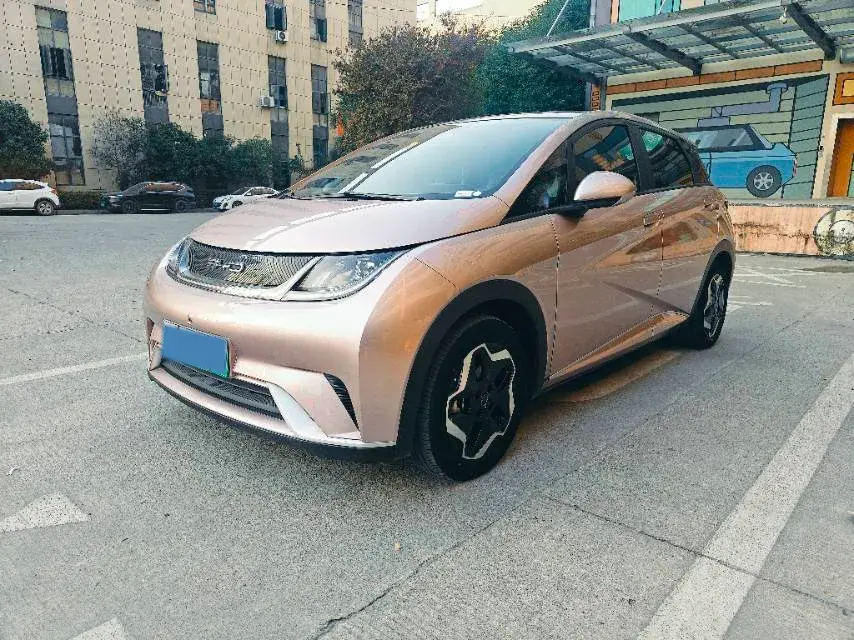2021 BYD DOLPHIN view 1