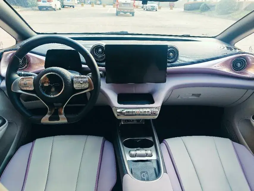 2021 BYD DOLPHIN thumbnail 4