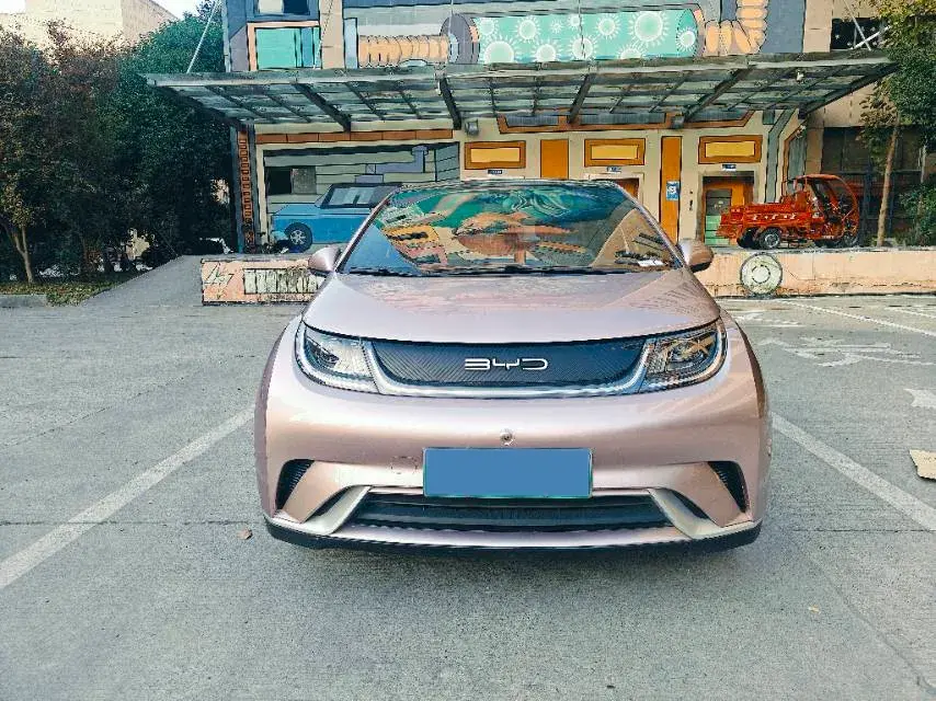 2021 BYD DOLPHIN thumbnail 2