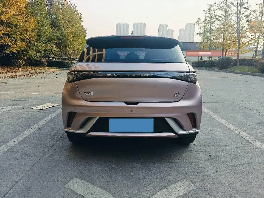 2021 BYD Dolphin BEV 44.9KWH,autocango,china used car exporter,china ev exporter,chinese used car exporter,chinese used ev exporter