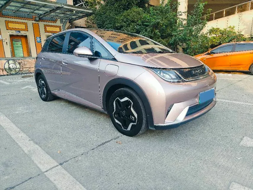 2021 BYD Dolphin BEV 44.9KWH,autocango,china used car exporter,china ev exporter,chinese used car exporter,chinese used ev exporter