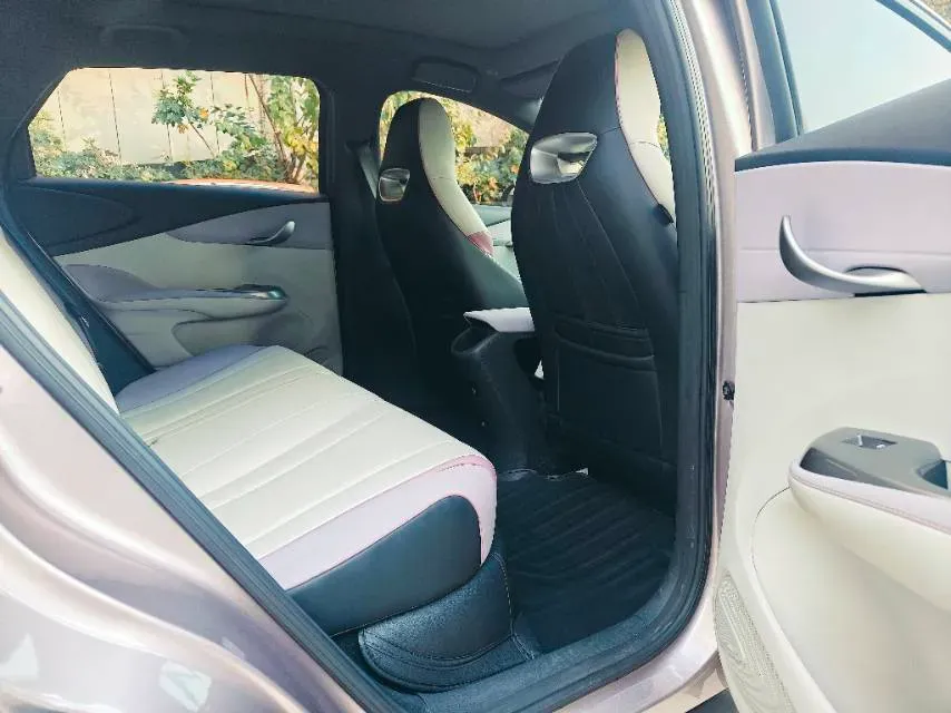 2021 BYD Dolphin BEV 44.9KWH,autocango,china used car exporter,china ev exporter,chinese used car exporter,chinese used ev exporter