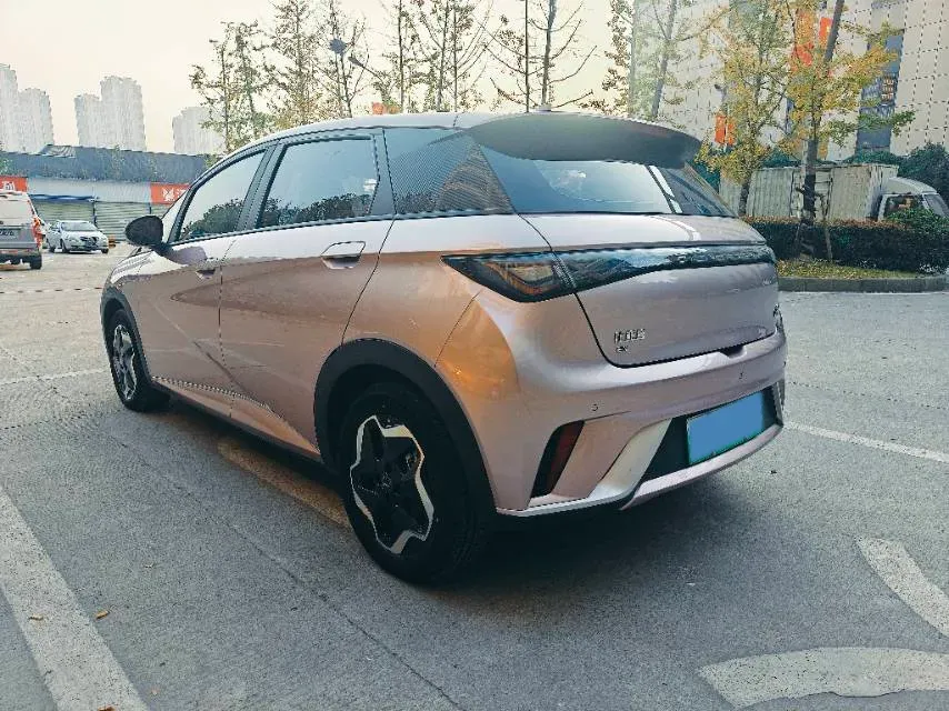 2021 BYD Dolphin BEV 44.9KWH,autocango,china used car exporter,china ev exporter,chinese used car exporter,chinese used ev exporter