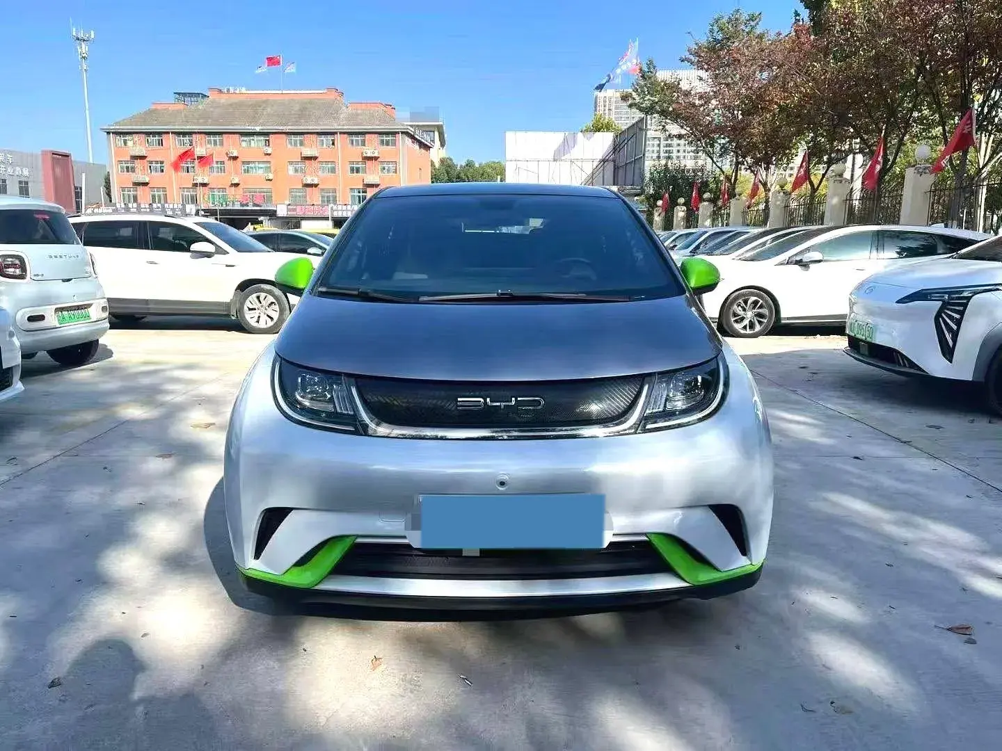 2021 BYD DOLPHIN thumbnail 2