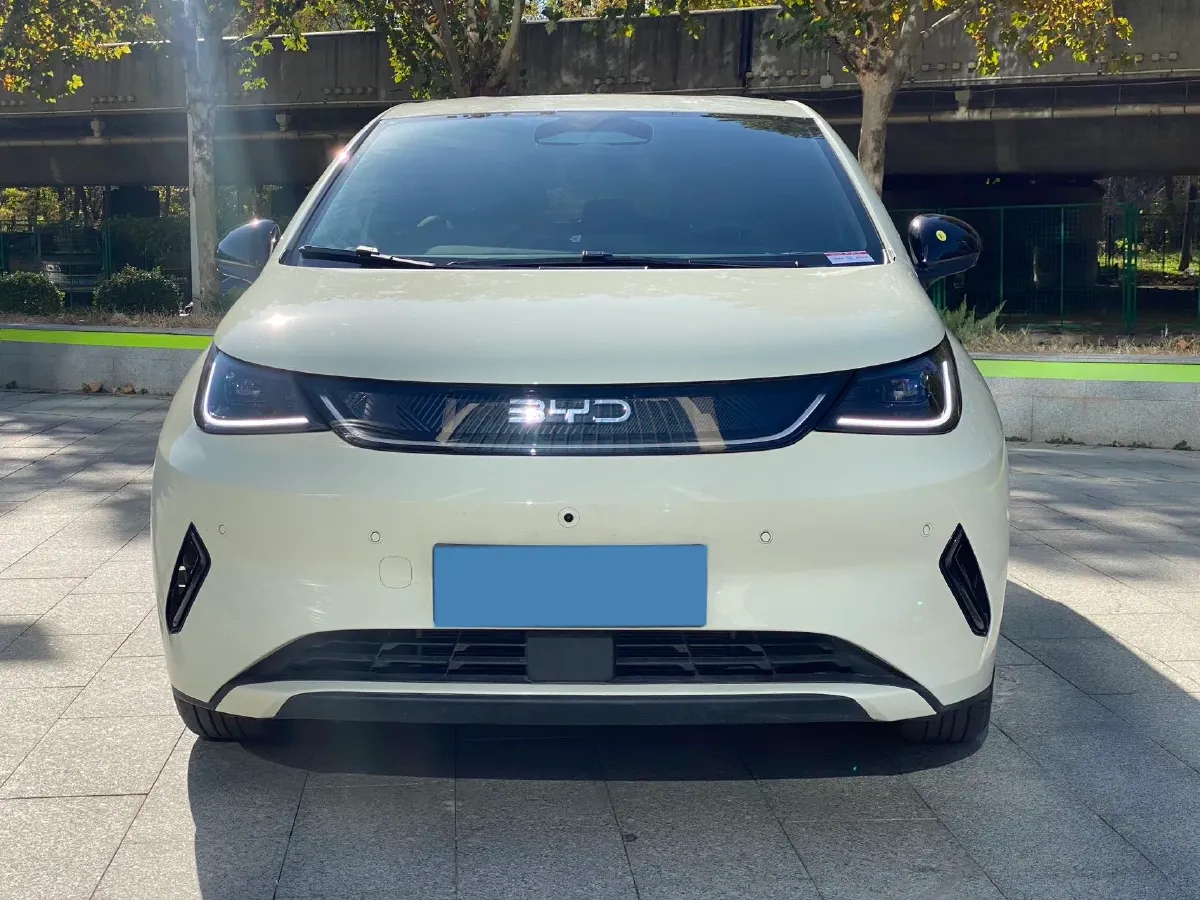 2025 BYD Dolphin BEV 45.12KWH,autocango,china used car exporter,china ev exporter,chinese used car exporter,chinese used ev exporter