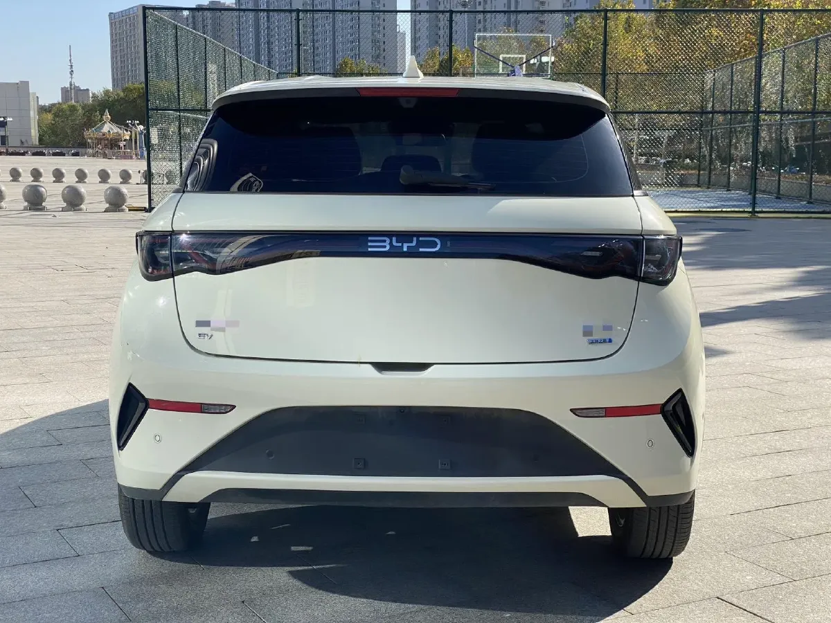 2025 BYD Dolphin BEV 45.12KWH,autocango,china used car exporter,china ev exporter,chinese used car exporter,chinese used ev exporter