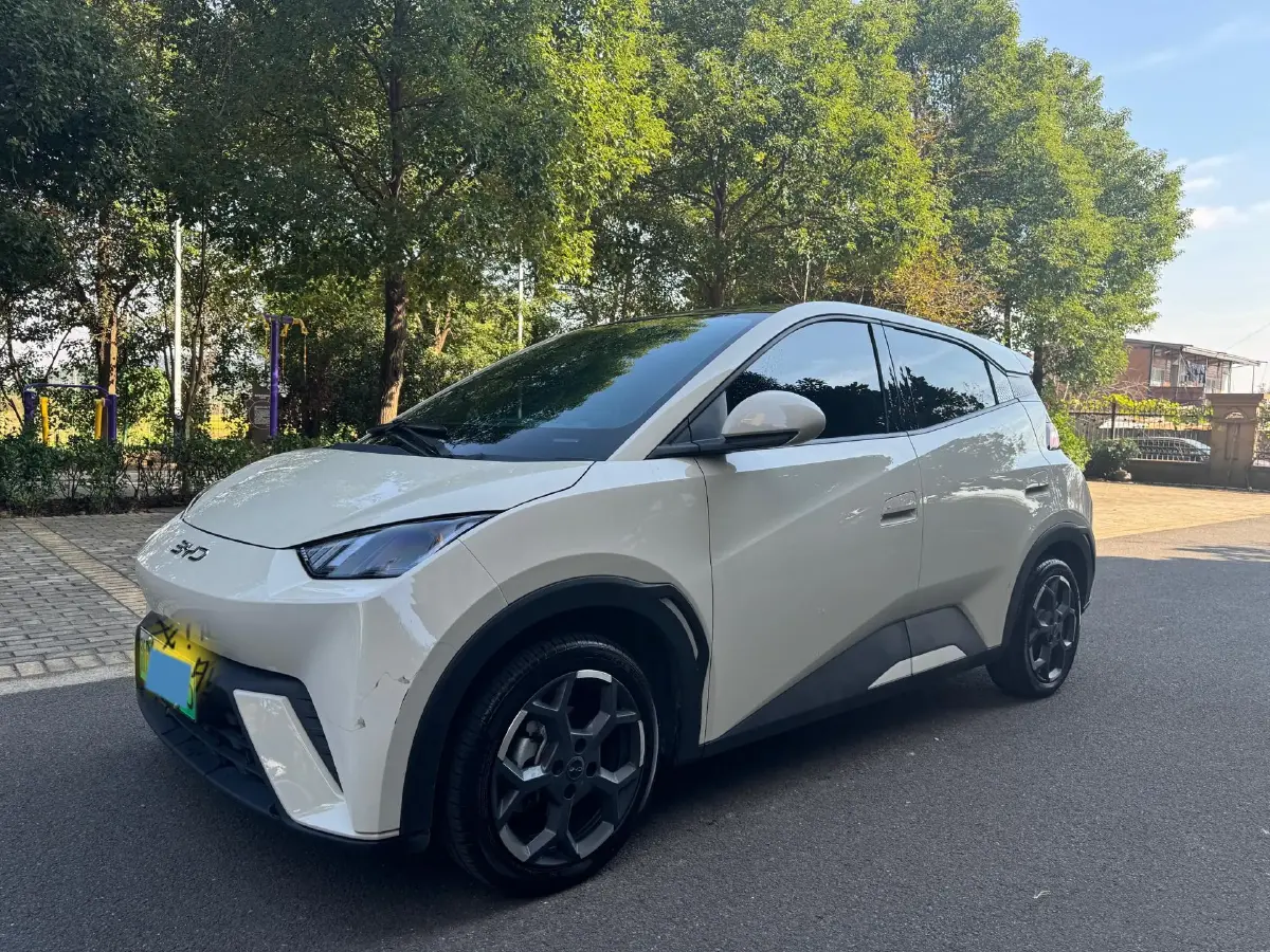 2024 BYD Seagull BEV 30.08KWH