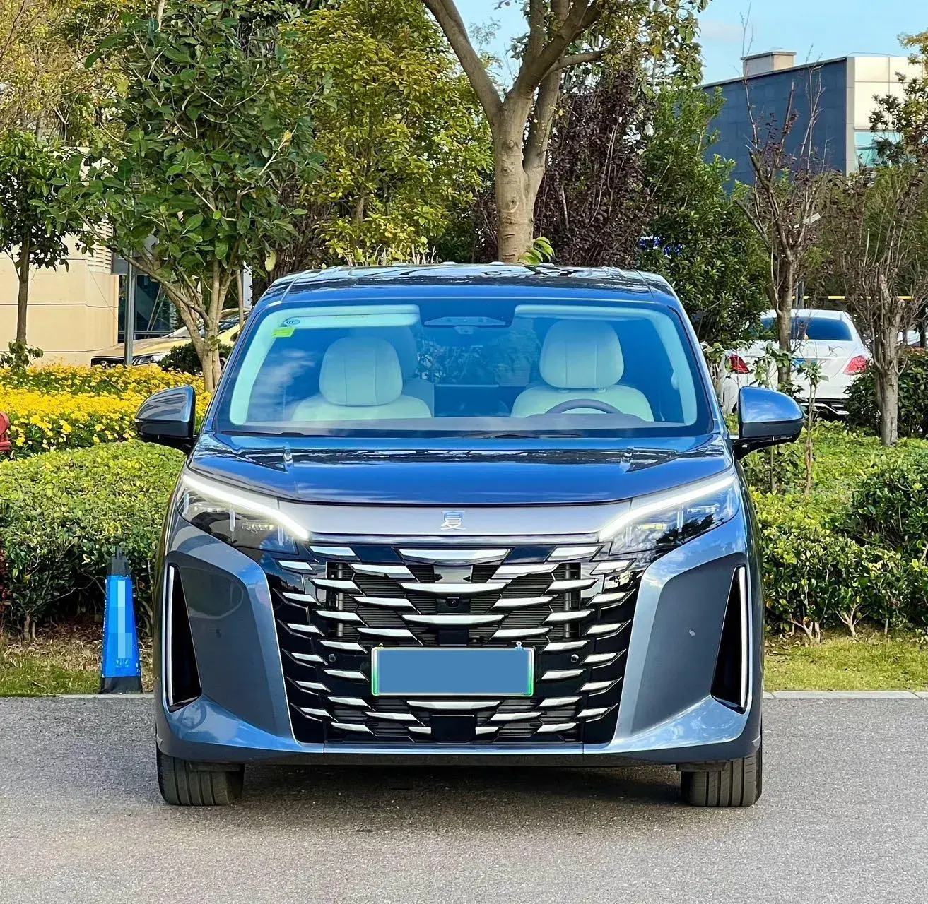 2025 BYD XIA thumbnail 2