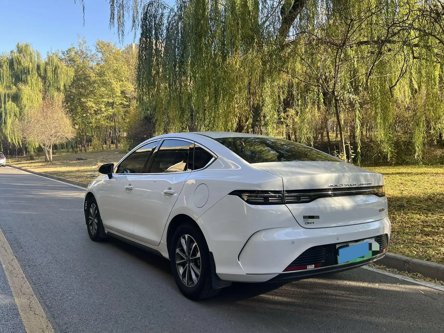 2023 BYD DESTROYER thumbnail 3