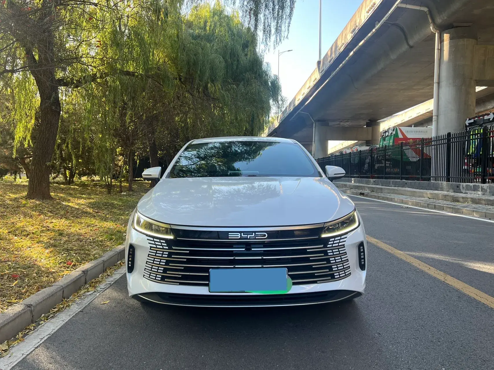 2023 BYD DESTROYER thumbnail 2