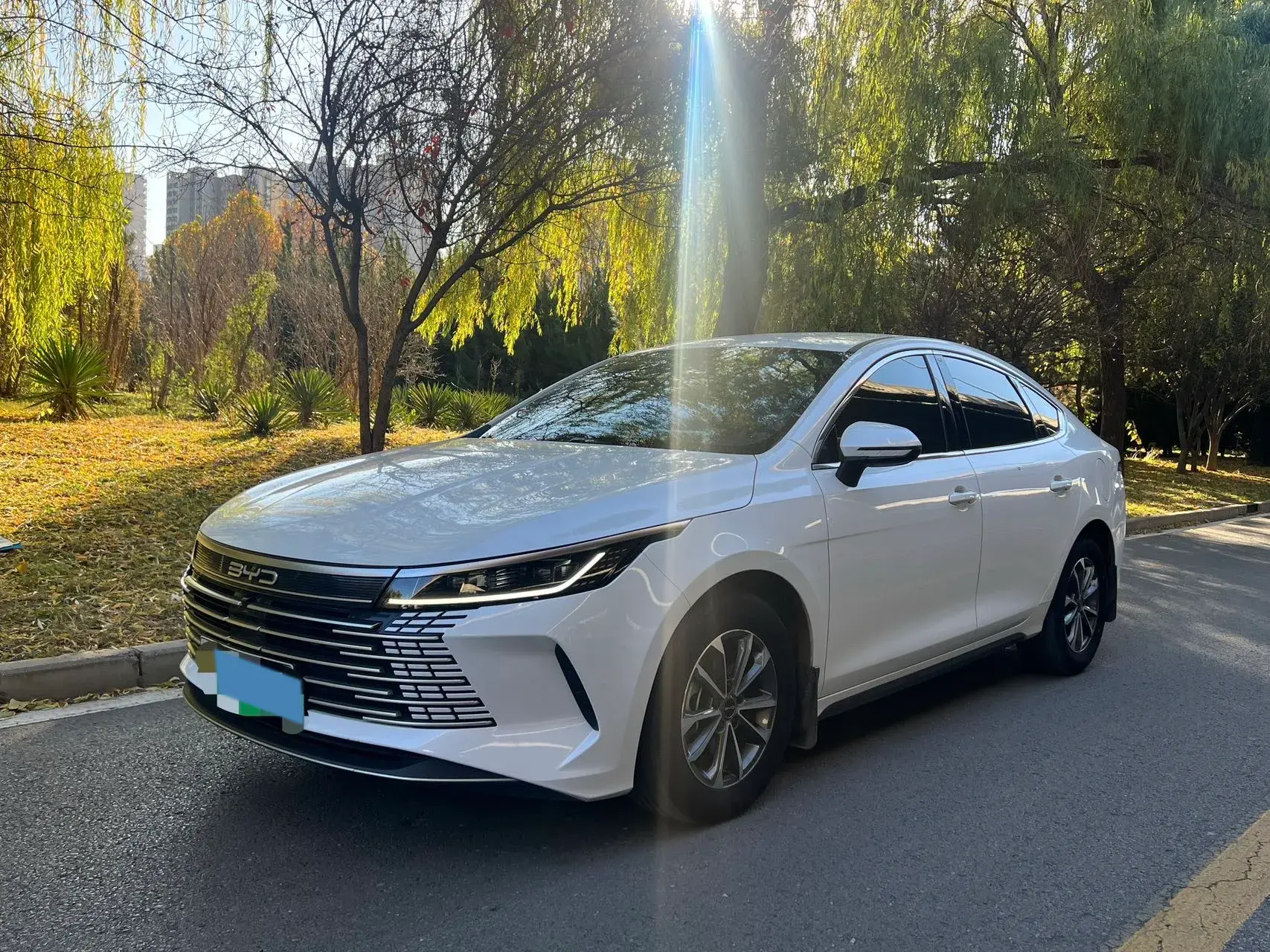 2023 BYD DESTROYER view 1