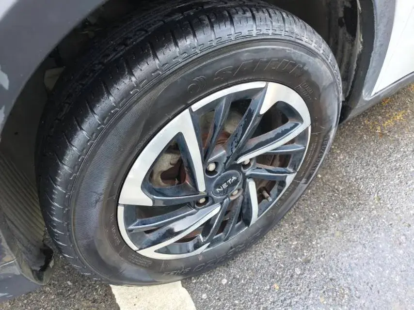 2021 NETA V thumbnail 4