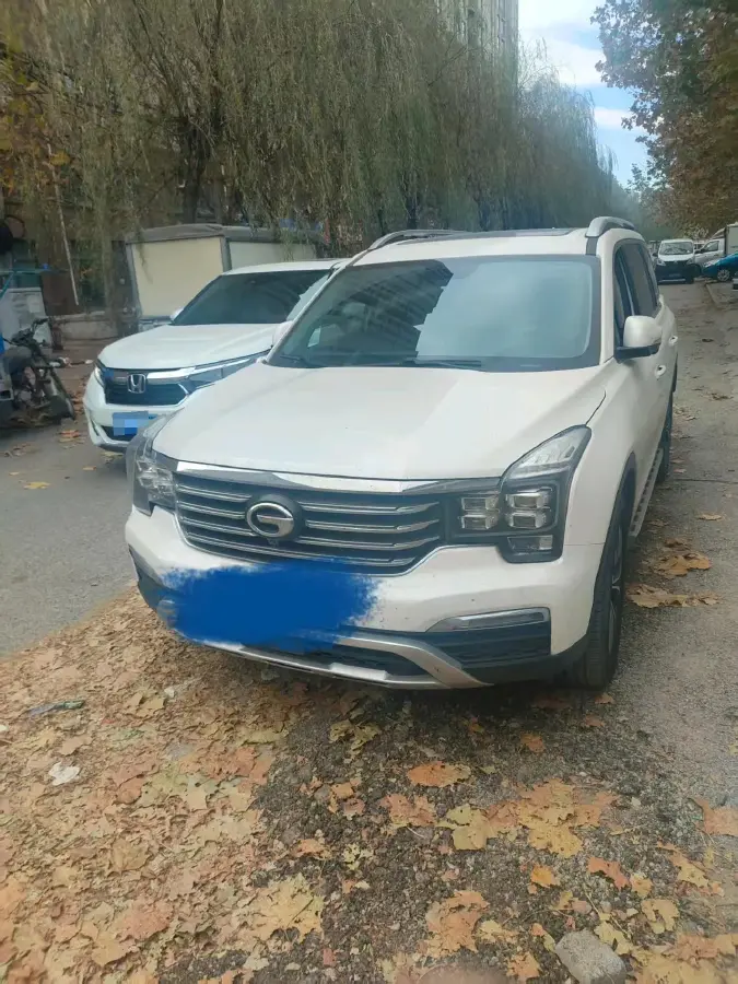 2017 GAC Trumpchi GS8 2.0T 201HP L4 6AT