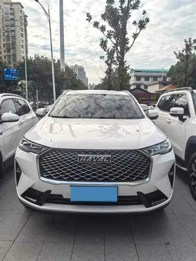 2021 HAVAL H6 thumbnail 2