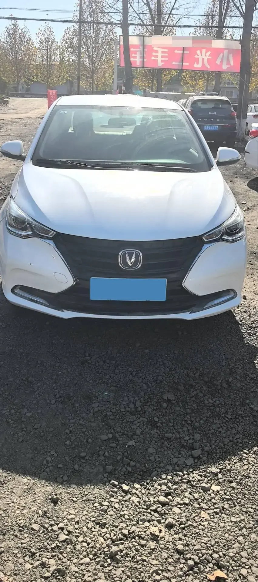 2019 CHANGAN ALSVIN thumbnail 2