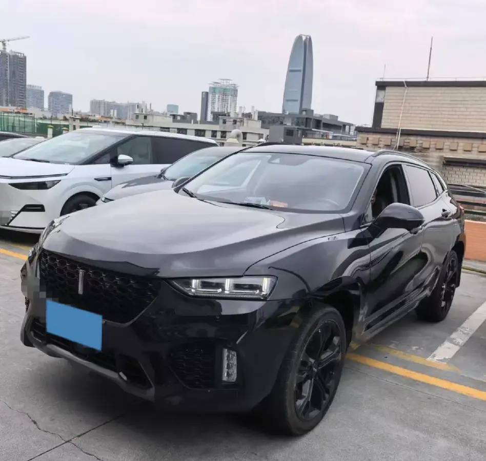 2019 WEY VV7 2.0T 227HP L4 7DCT
