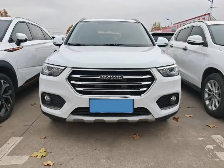 2018 HAVAL H6 thumbnail 2