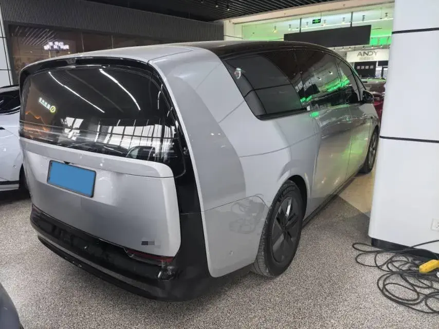 2025 LI MEGA thumbnail 3