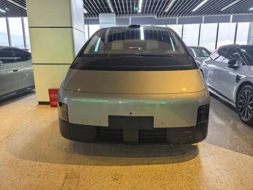 2025 LI MEGA thumbnail 2