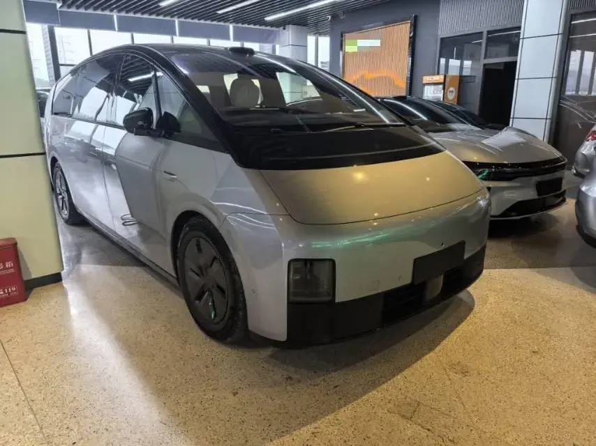 2025 LI MEGA thumbnail 4