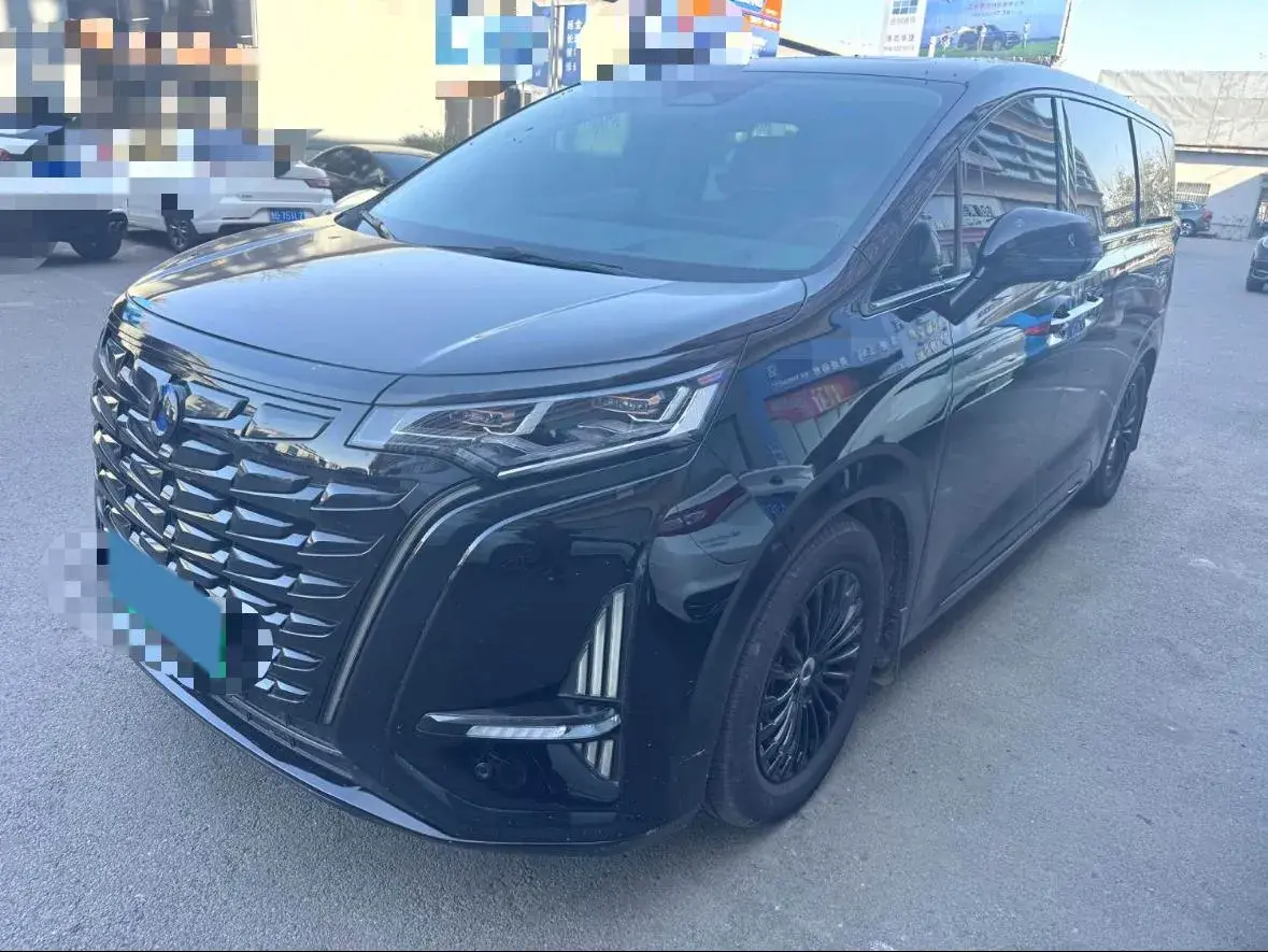 2022 DENZA D9 view 1