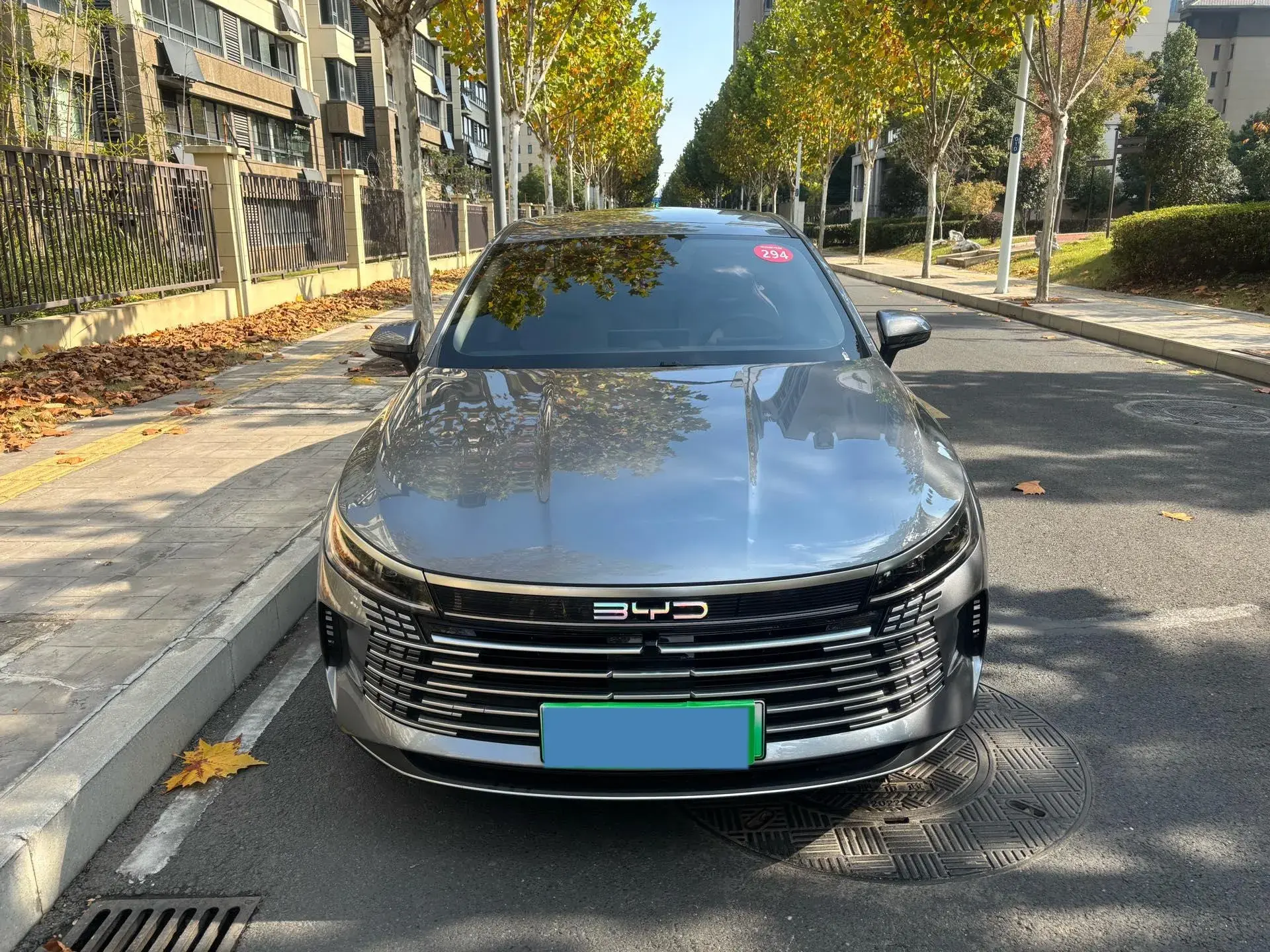 2024 BYD DESTROYER thumbnail 2