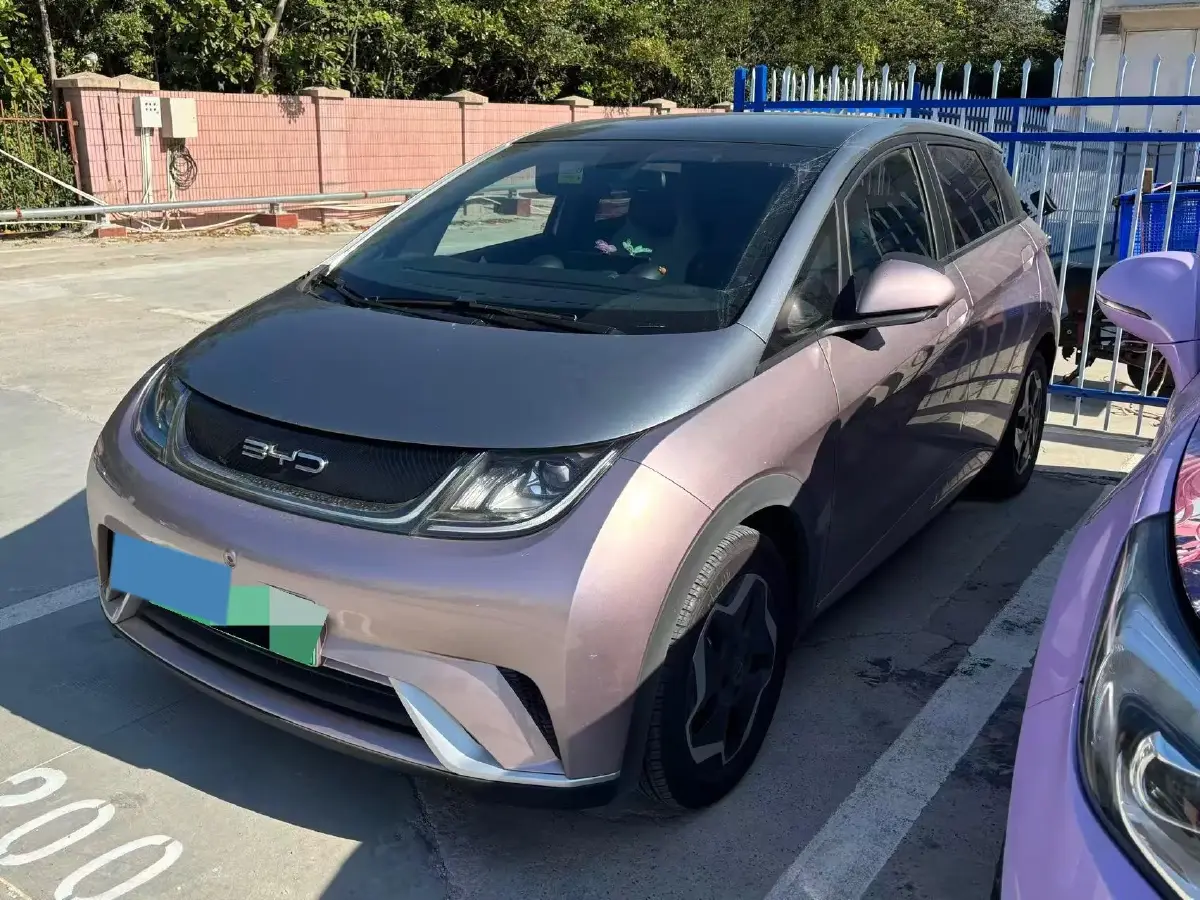 2021 BYD Dolphin BEV 44.9KWH