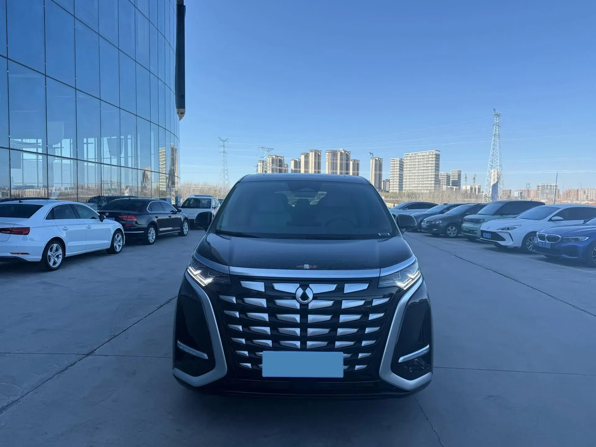 2022 DENZA D9 thumbnail 2