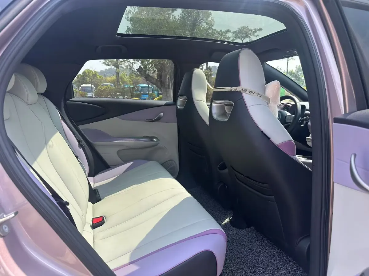 2021 BYD Dolphin BEV 44.9KWH,autocango,china used car exporter,china ev exporter,chinese used car exporter,chinese used ev exporter