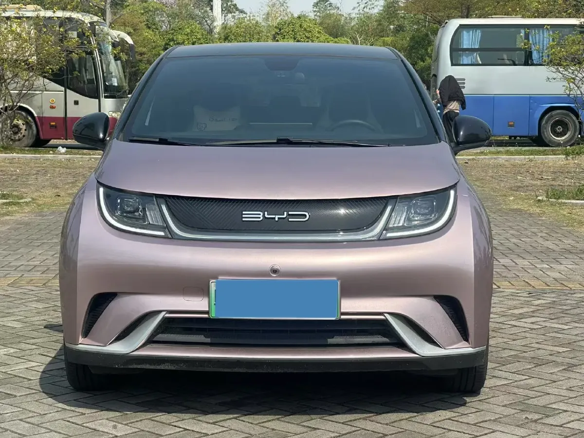 2021 BYD Dolphin BEV 44.9KWH,autocango,china used car exporter,china ev exporter,chinese used car exporter,chinese used ev exporter