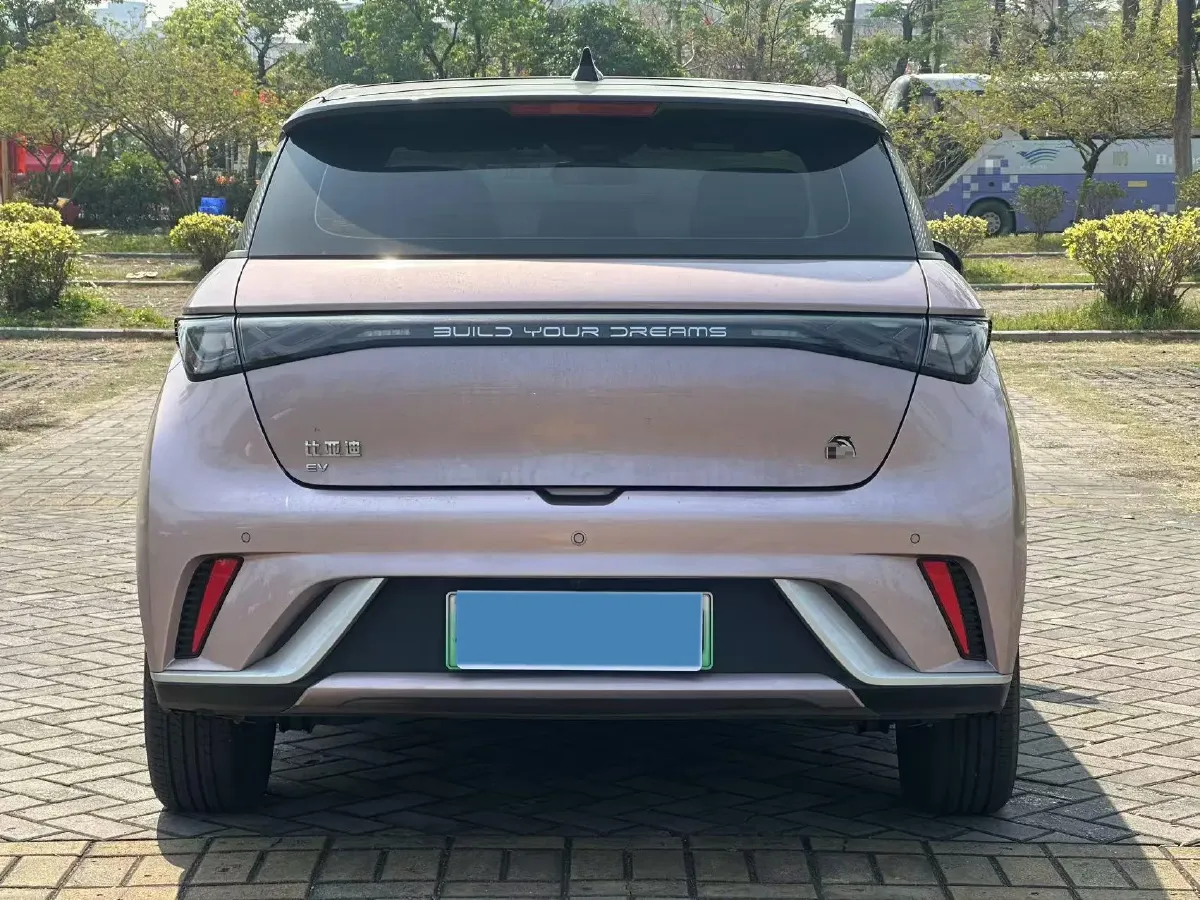 2021 BYD Dolphin BEV 44.9KWH,autocango,china used car exporter,china ev exporter,chinese used car exporter,chinese used ev exporter