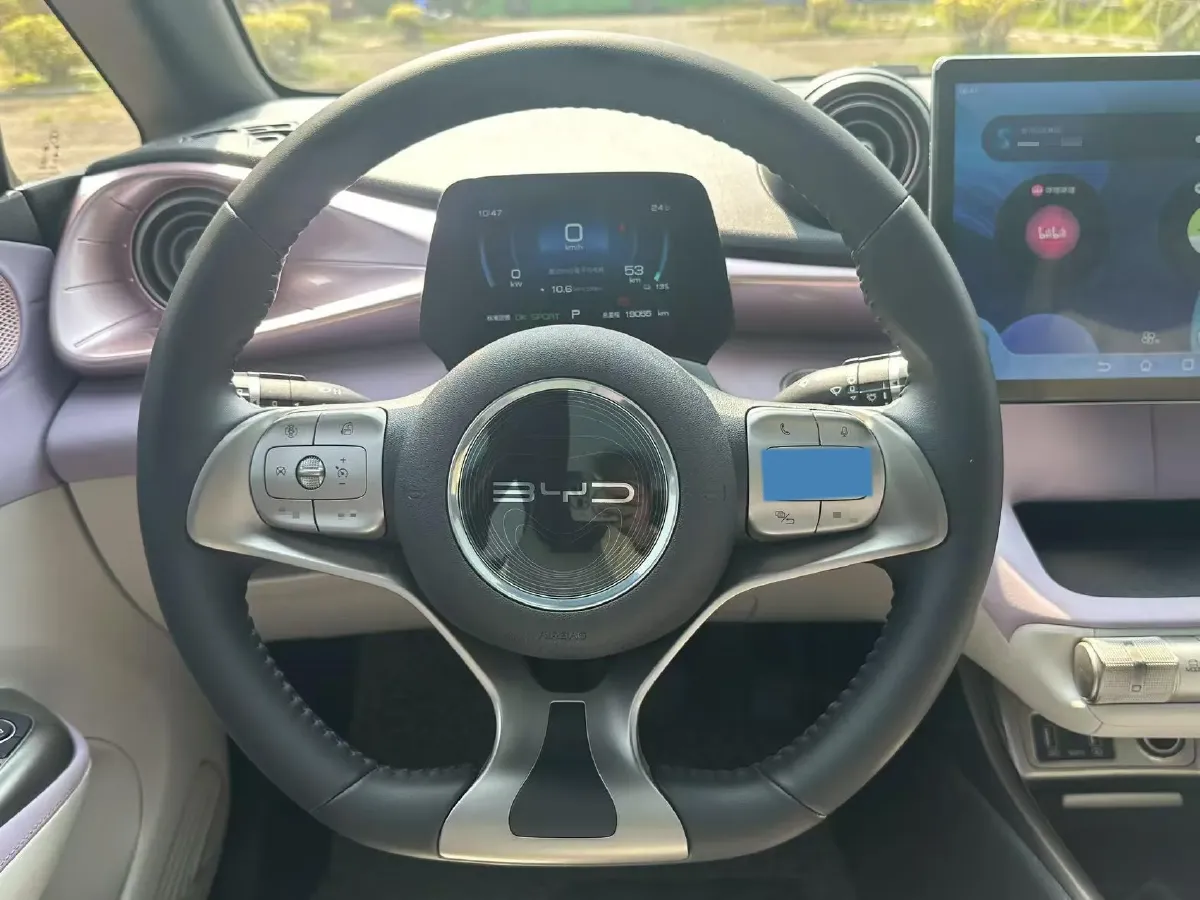 2021 BYD Dolphin BEV 44.9KWH,autocango,china used car exporter,china ev exporter,chinese used car exporter,chinese used ev exporter