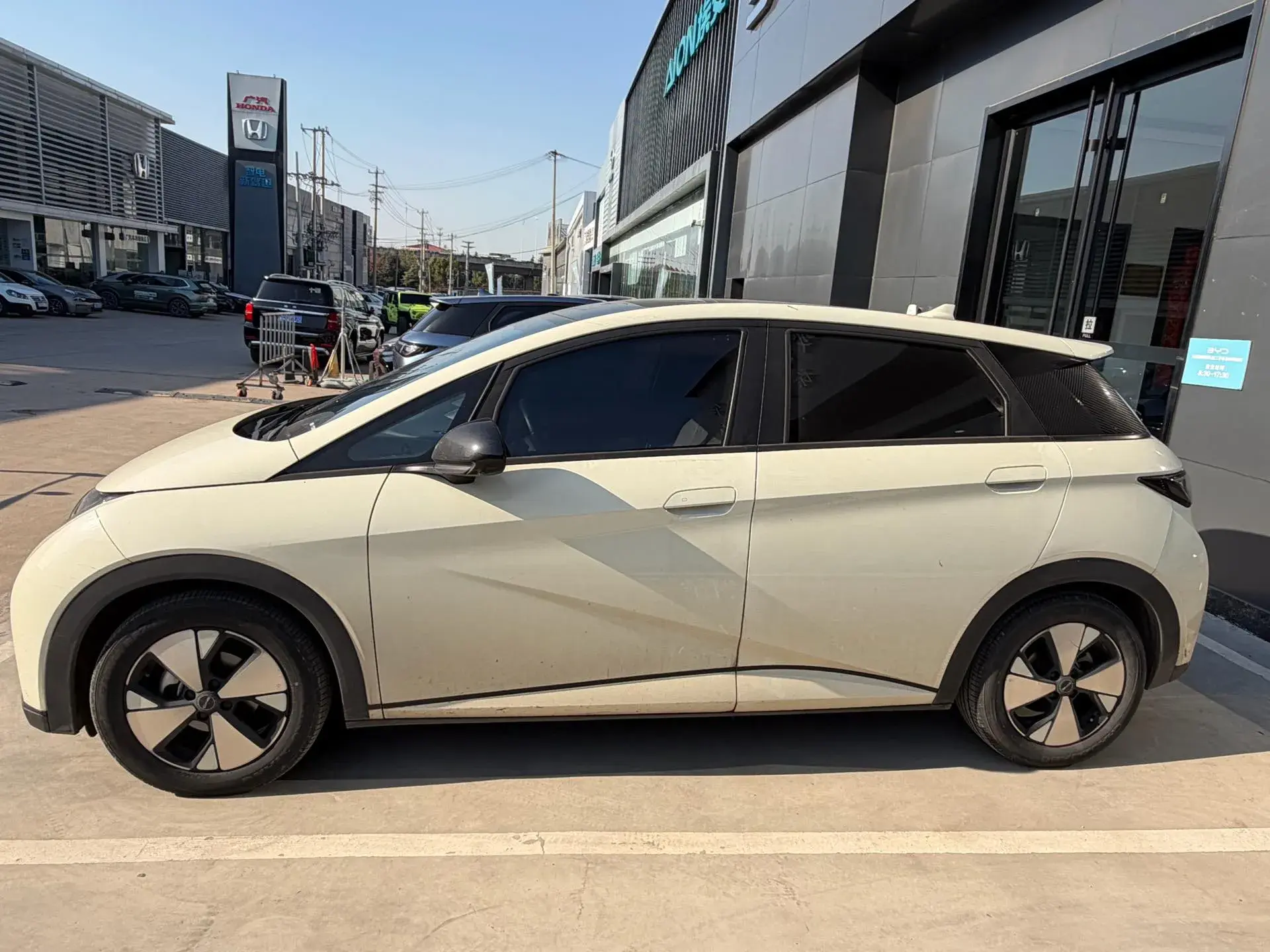 2023 BYD DOLPHIN thumbnail 3