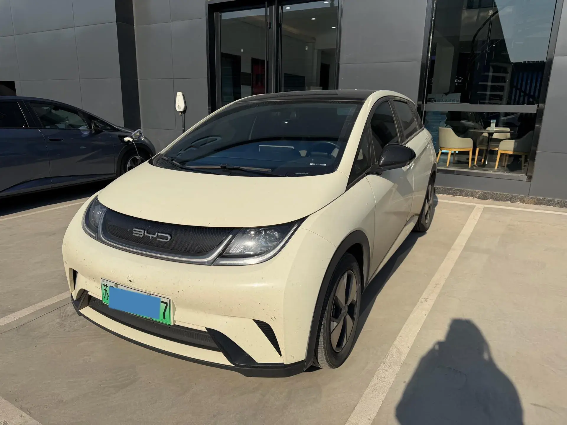 2023 BYD DOLPHIN view 1