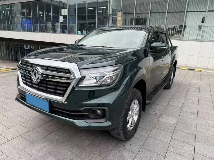 2019 DONGFENG RUIQI view 1