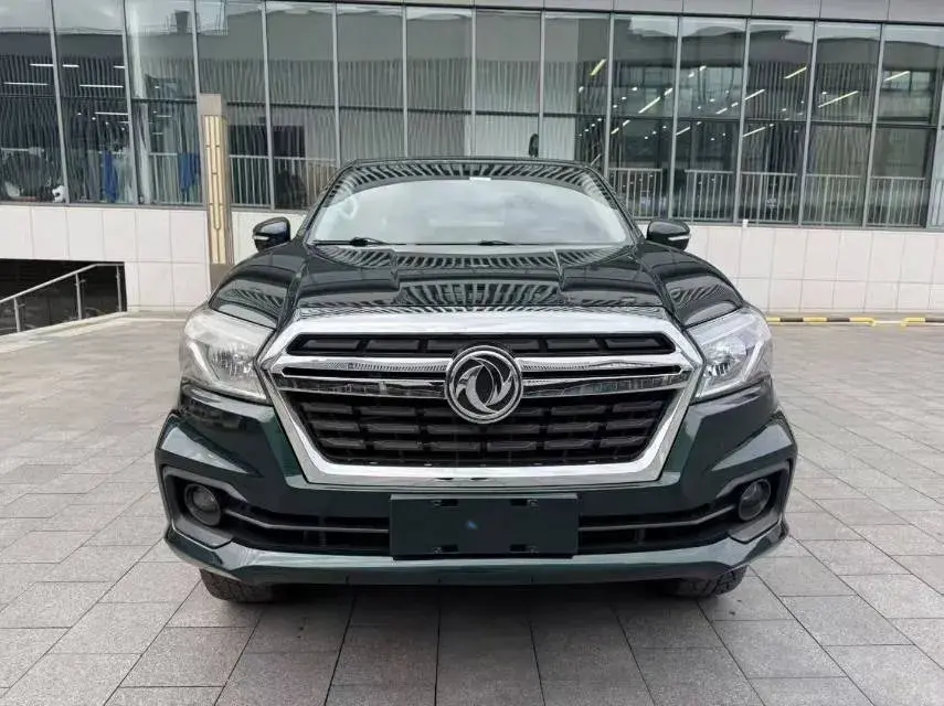 2019 DONGFENG RUIQI thumbnail 2