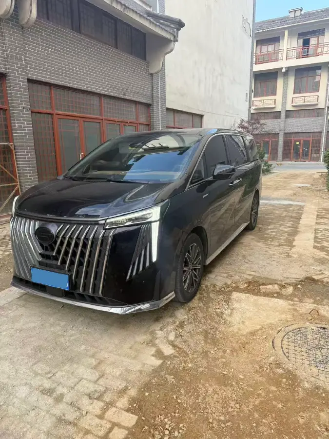 2024 GAC Trumpchi M8 2.0T 252HP L4 8AT