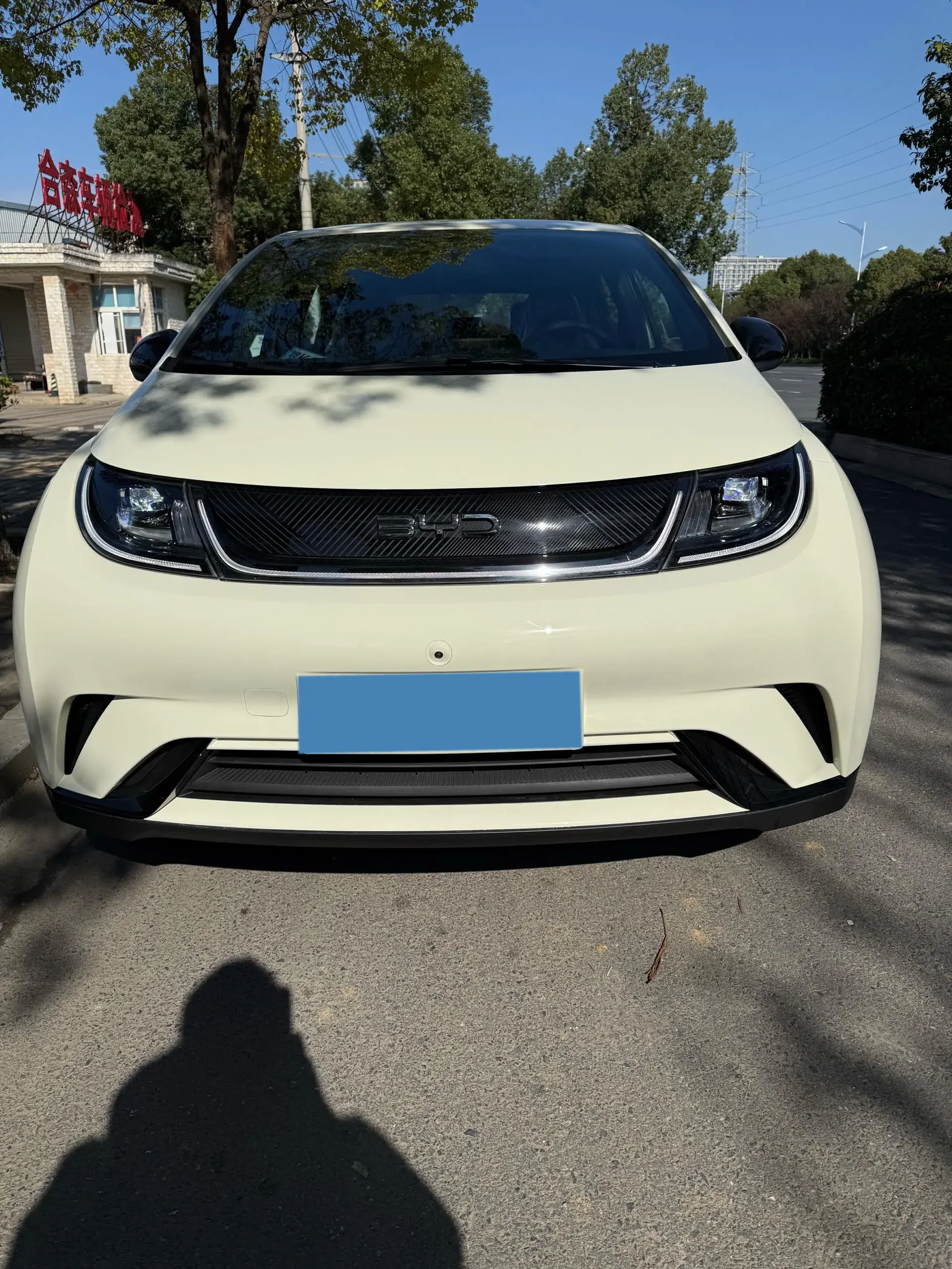 2025 BYD DOLPHIN thumbnail 2