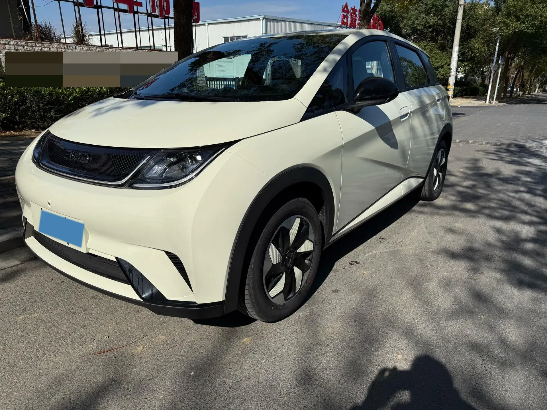 2025 BYD DOLPHIN view 1