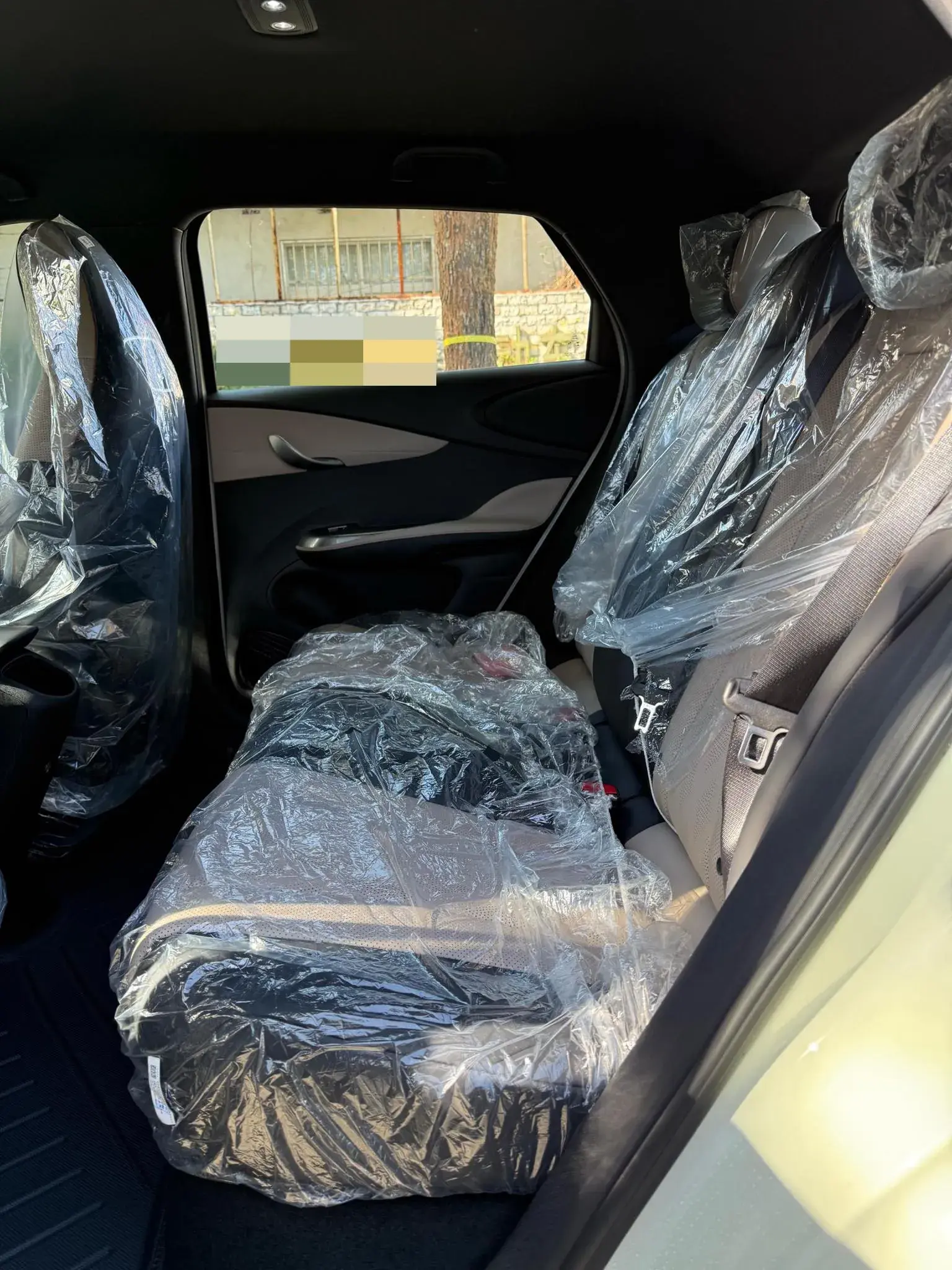 2025 BYD DOLPHIN thumbnail 4