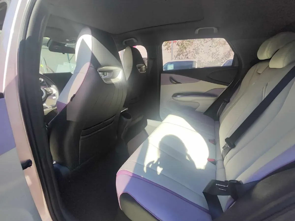 2021 BYD Dolphin BEV 44.9KWH,autocango,china used car exporter,china ev exporter,chinese used car exporter,chinese used ev exporter