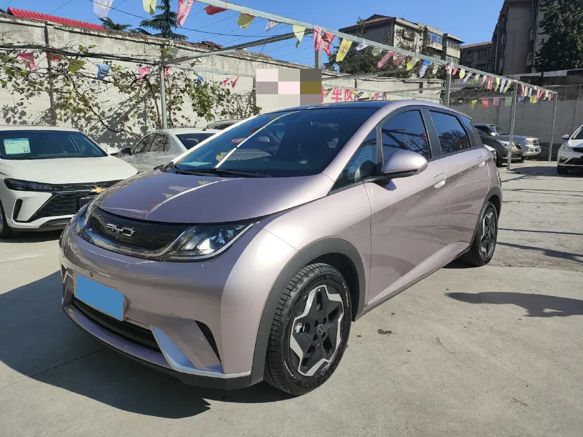 2021 BYD Dolphin BEV 44.9KWH