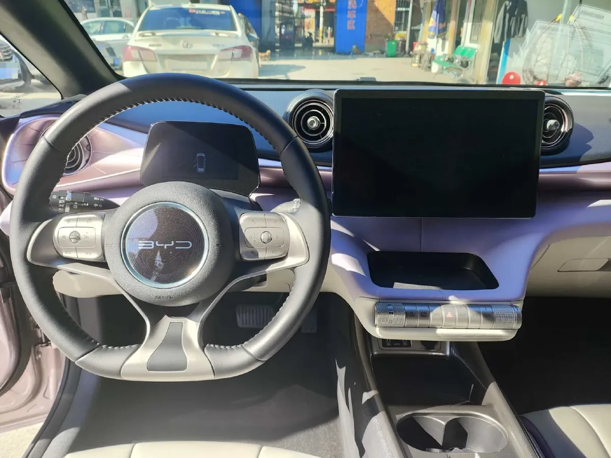 2021 BYD Dolphin BEV 44.9KWH,autocango,china used car exporter,china ev exporter,chinese used car exporter,chinese used ev exporter