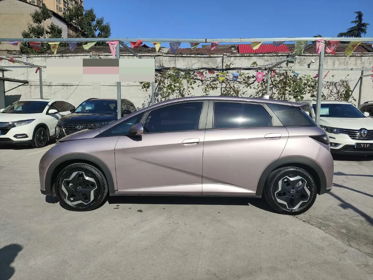 2021 BYD Dolphin BEV 44.9KWH,autocango,china used car exporter,china ev exporter,chinese used car exporter,chinese used ev exporter