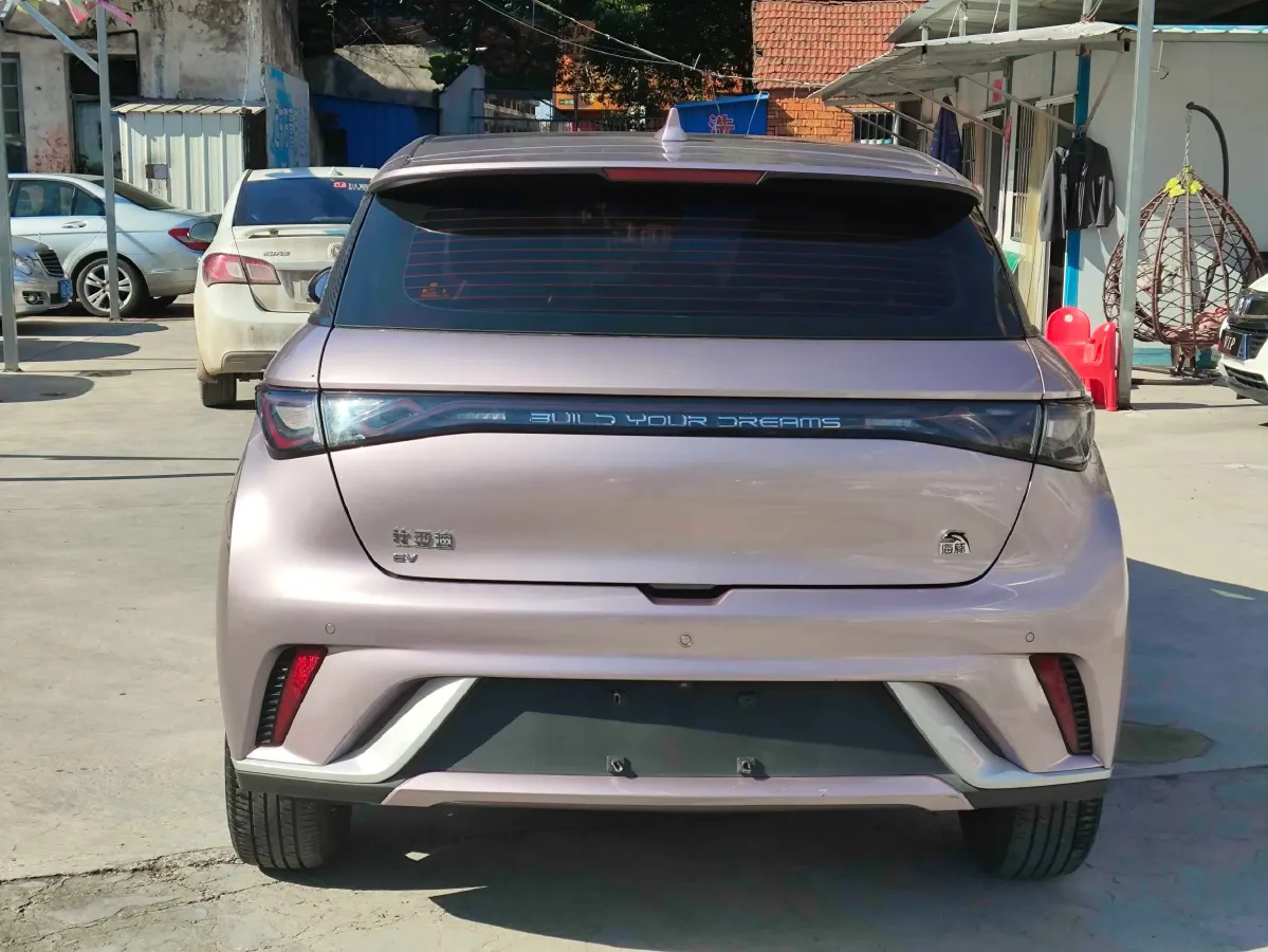 2021 BYD Dolphin BEV 44.9KWH,autocango,china used car exporter,china ev exporter,chinese used car exporter,chinese used ev exporter