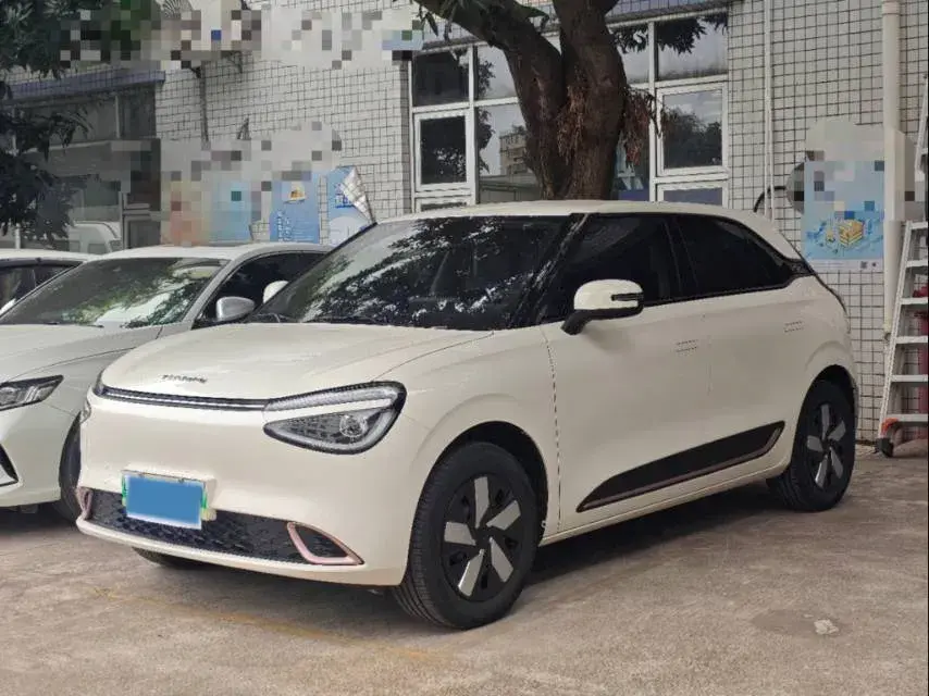 2024 DongFeng Nammi 01 BEV 31.45KWH